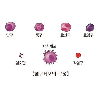 응고장애