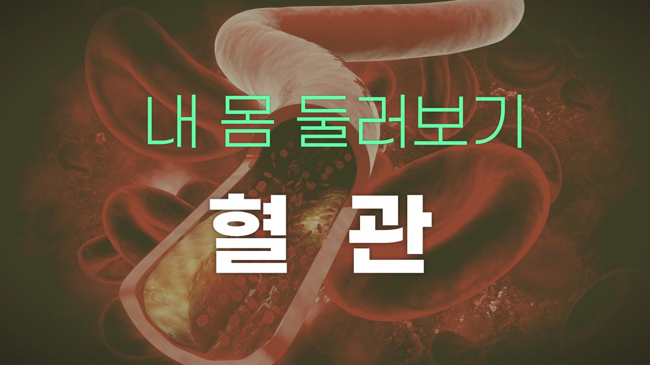 혈관