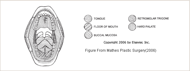 Defect resulting from the resection of the head and neck cancer